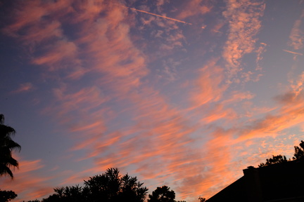 DSCF0676.JPG
