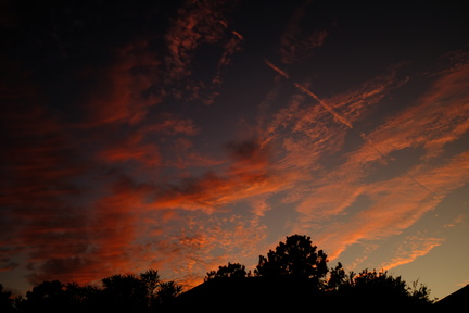 DSCF0679.JPG