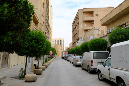 DSCF1795.JPG