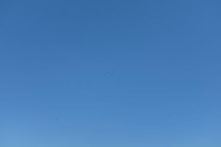 DSCF2380.JPG